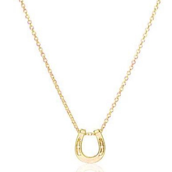 Jewelry - NEW horseshoe necklace